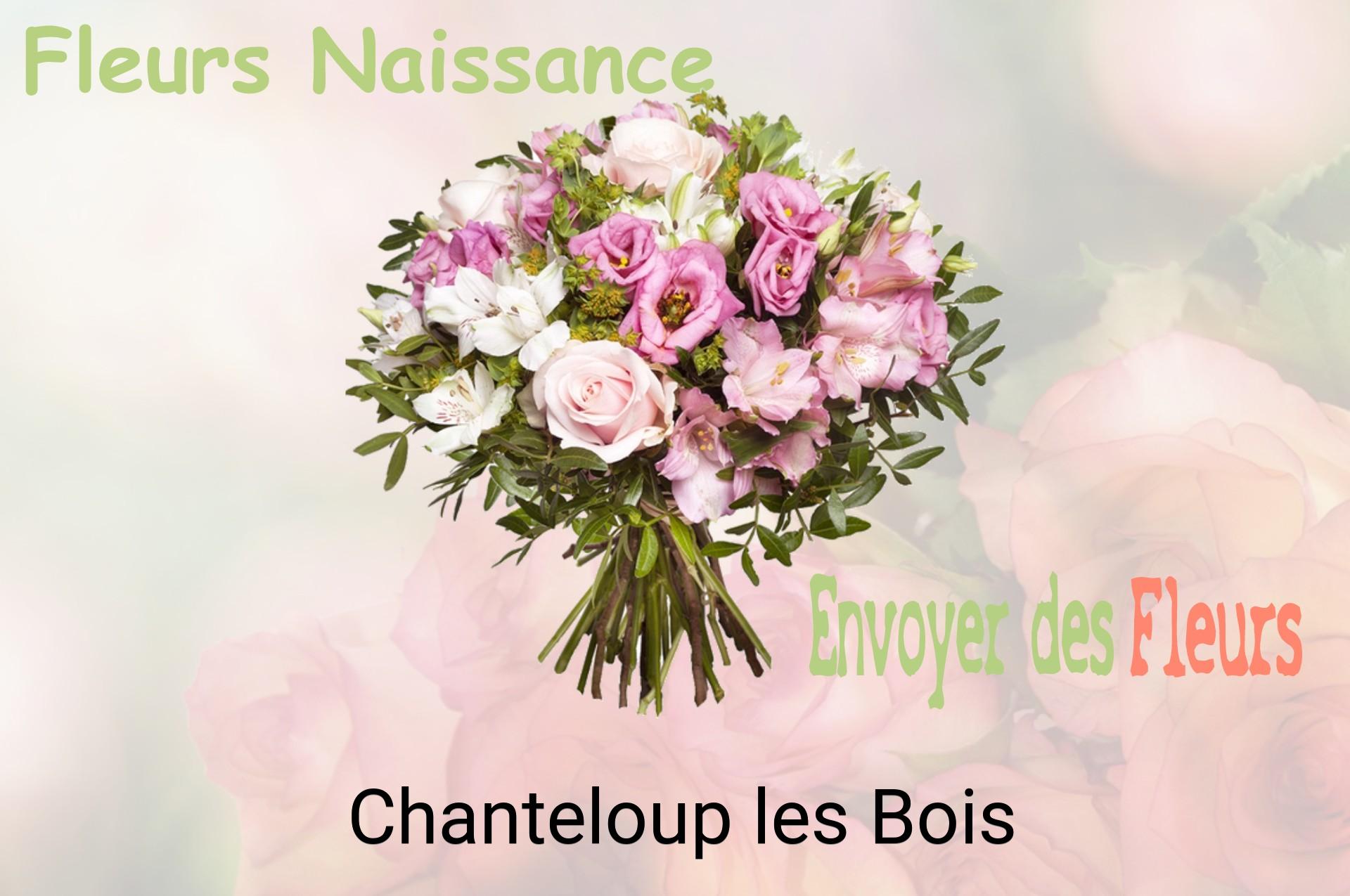 Bouquet de fleurs de naissance livré à Chanteloup-les-Bois