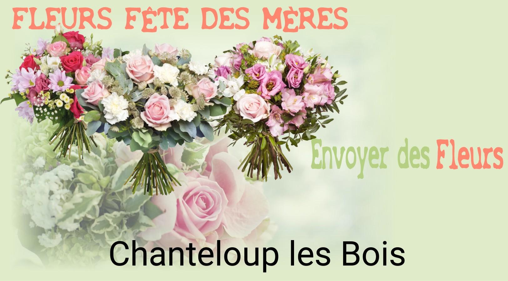 Bouquet de Fête des Mères livré à Chanteloup-les-Bois